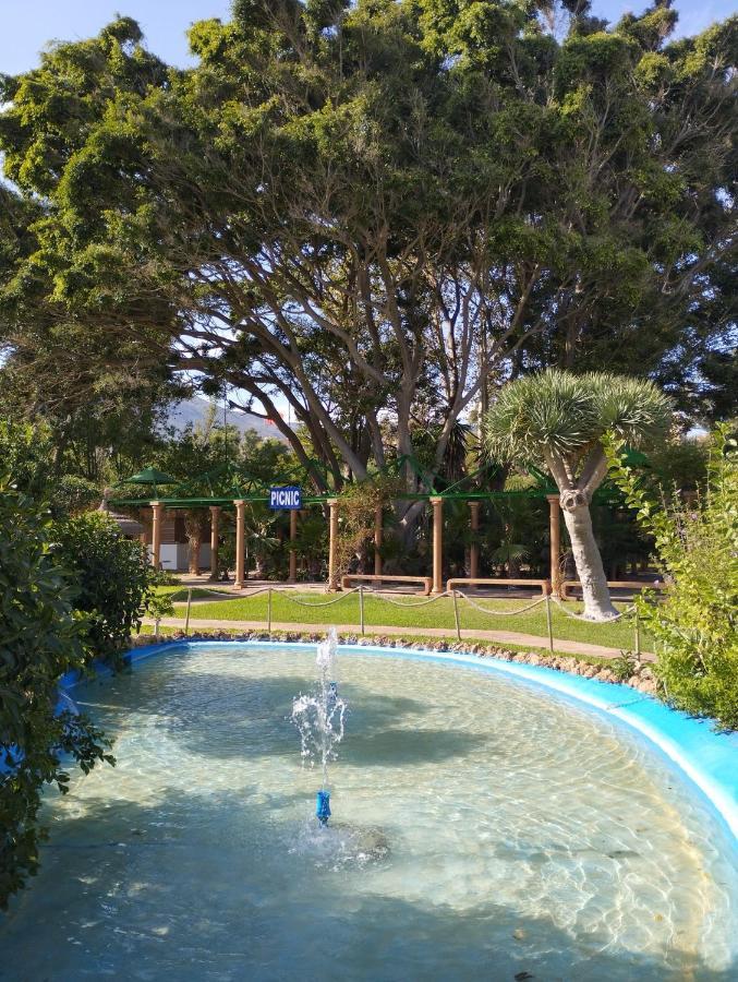 Estudio Terraza Vista Mar Parking Gratuito Piscinas 贝纳尔马德纳 外观 照片